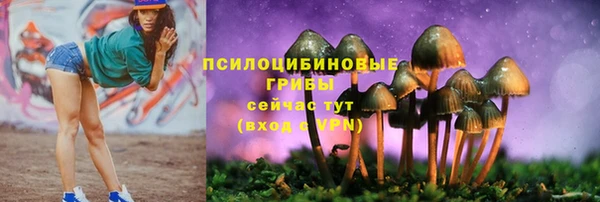 ECSTASY Аркадак