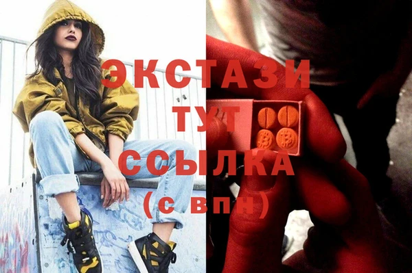 ECSTASY Армянск