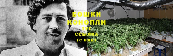 ECSTASY Армянск